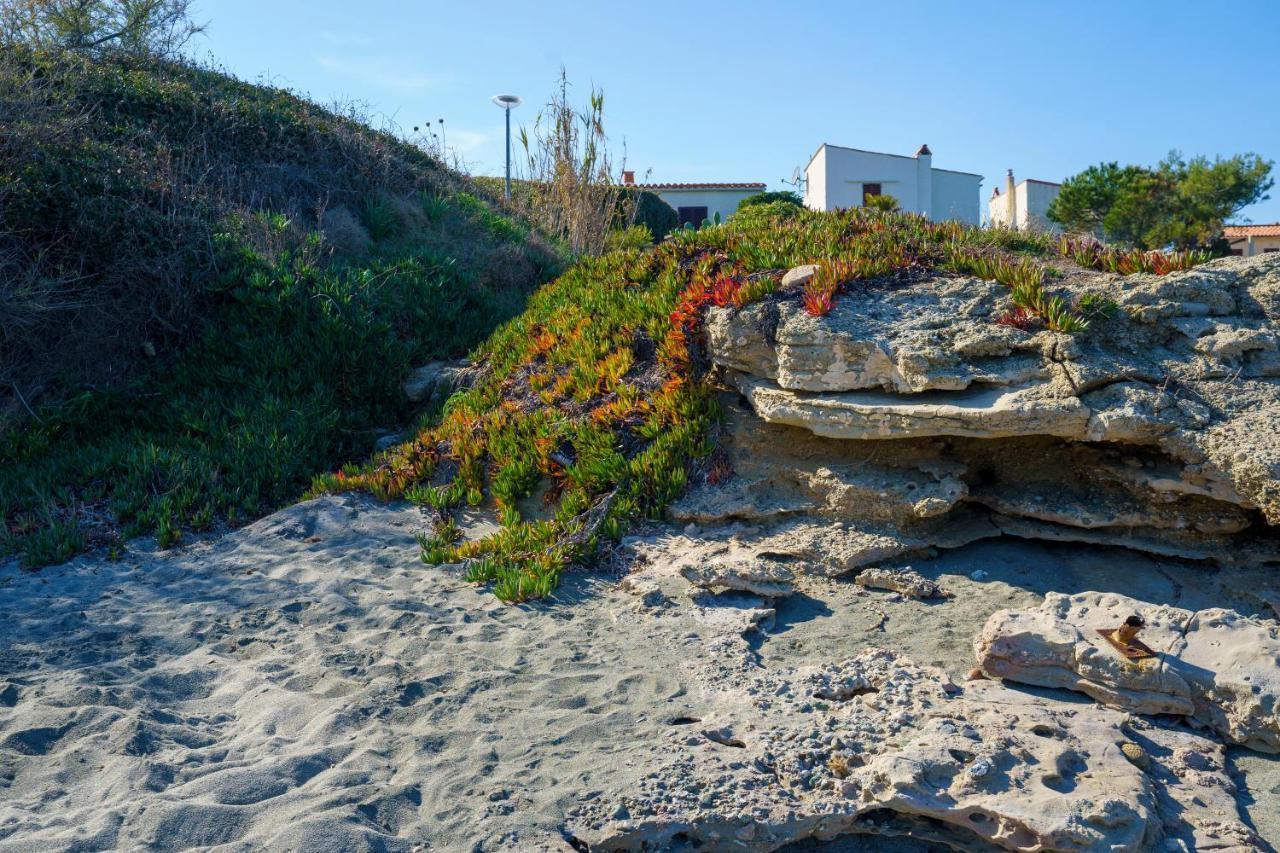 La Caletta Corsa Con Due A 100 M Dal Mare * Linguizzetta