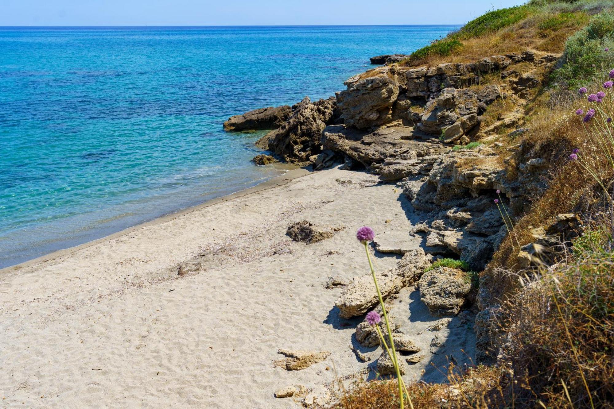 La Caletta Corsa Con Due A 100 M Dal Mare Apartment