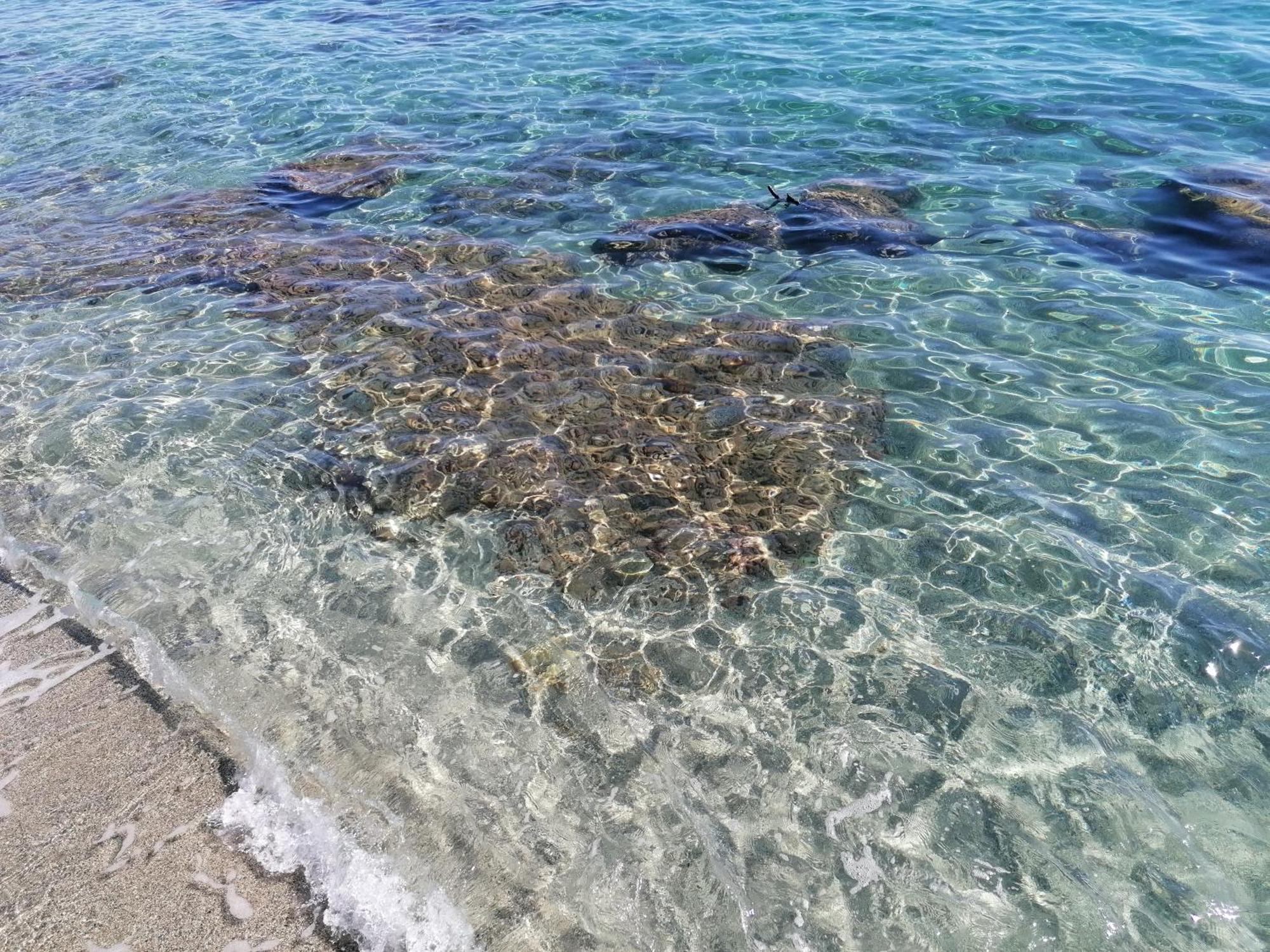 Apartment La Caletta Corsa Con Due A 100 M Dal Mare Linguizzetta